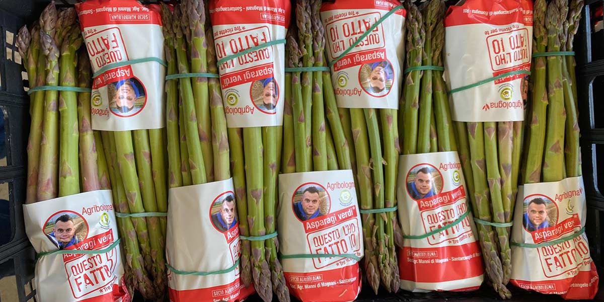 Asparagi, per la Romagna si conferma una stagione all'insegna della qualità